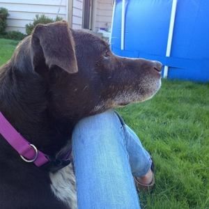 Meet your Posher, Kellie